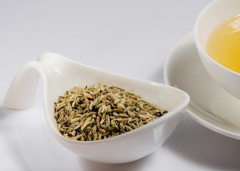 Bio Fenchel