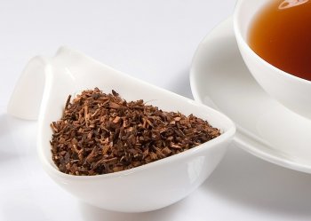 Bio Honeybusch